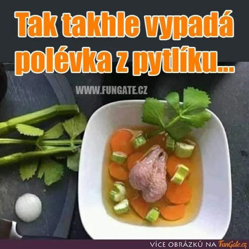 pre znalcov cestiny